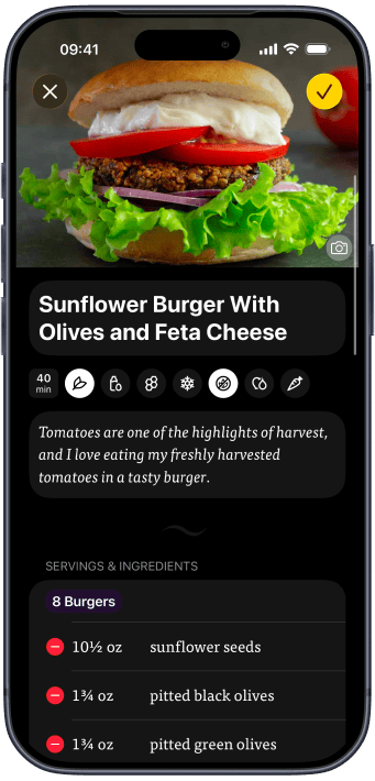 Plant-Based Recipes